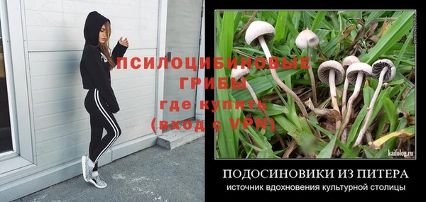 бутират Бугульма
